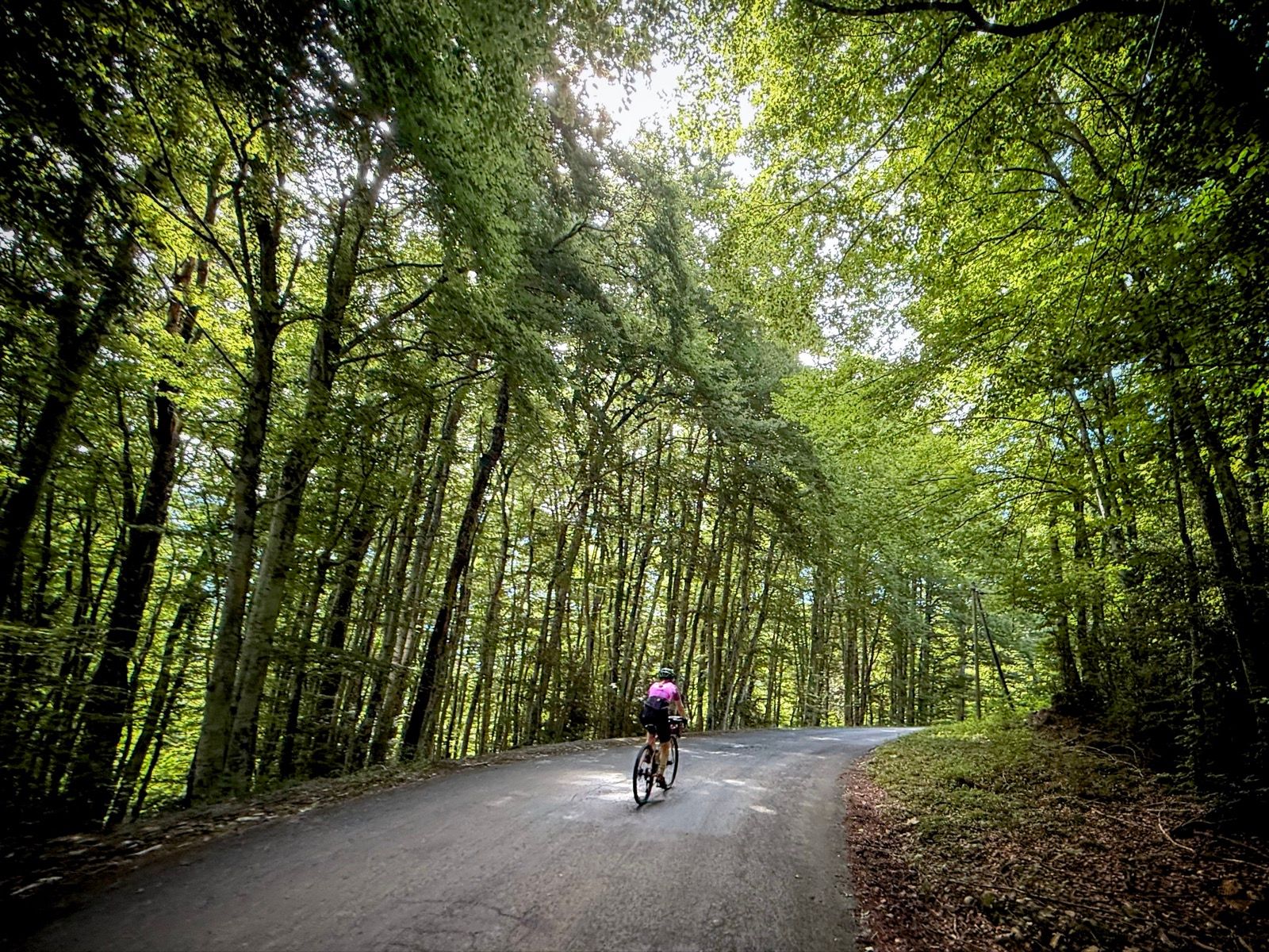 Full size image for La Forêt d'Herbouilly
