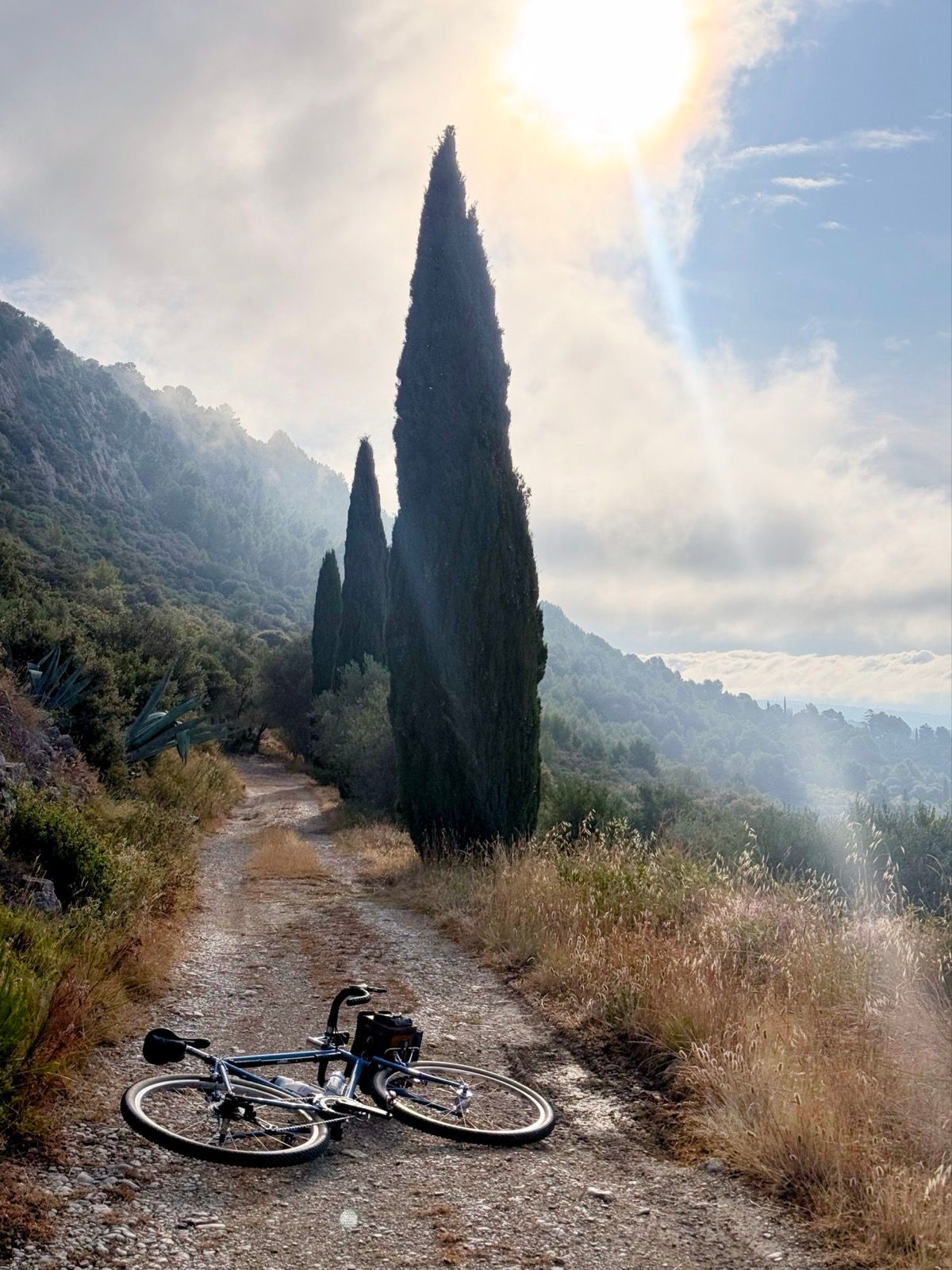 Full size image for Breakfast ramble.