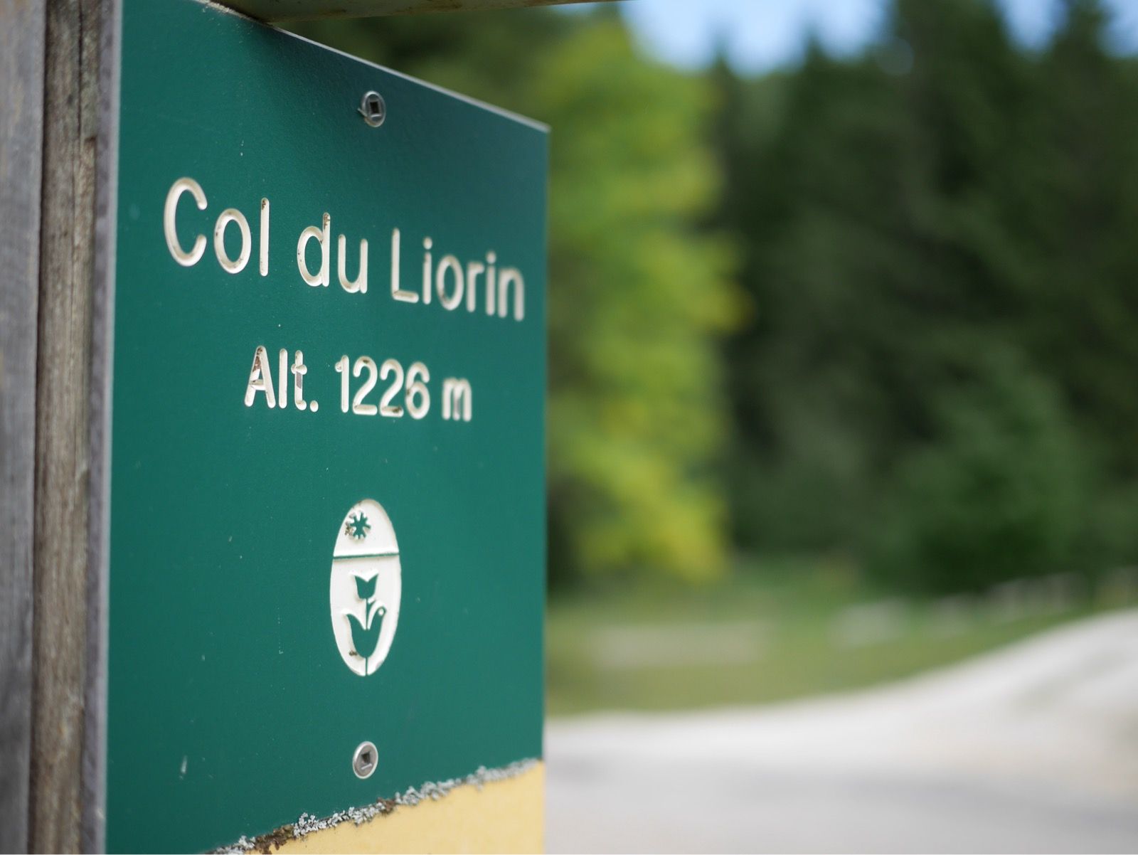 Full size image for La Forêt d'Herbouilly