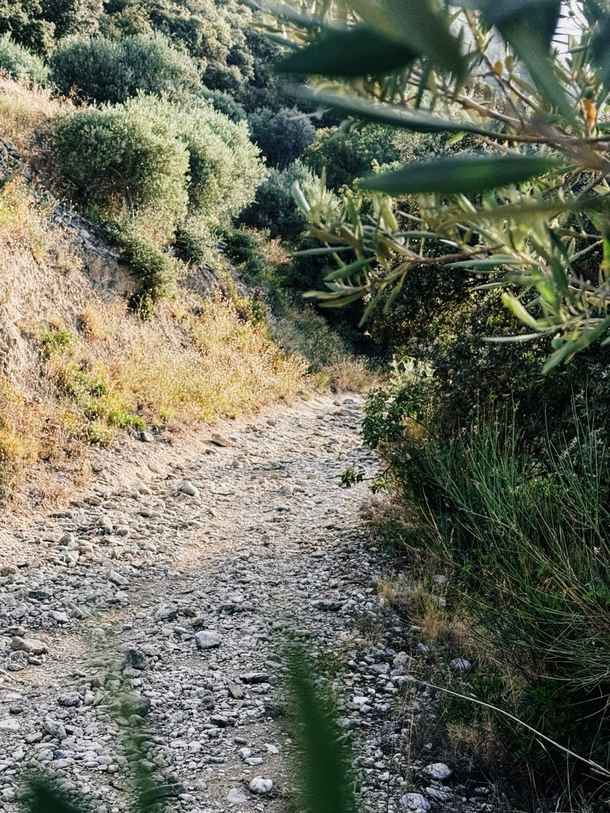 Full size image for Breakfast ramble.