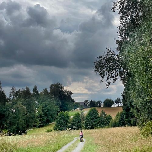 Preview image for Into Austria