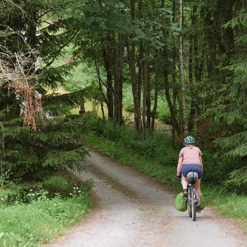 Preview image for Into Austria