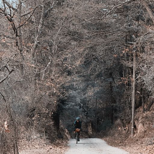 Preview image for North of Ventoux