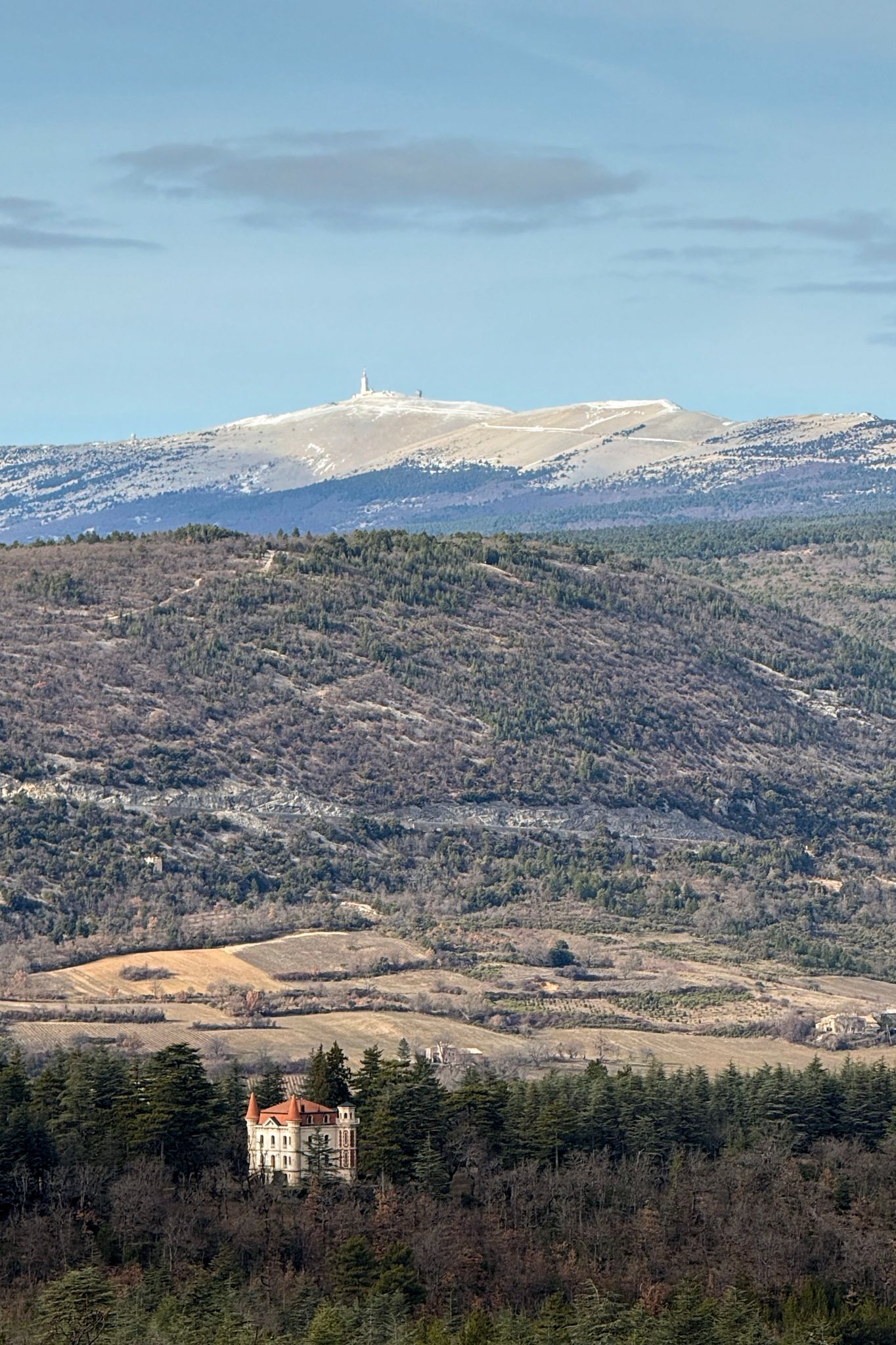 Preview image for Mistletoe, Lavender