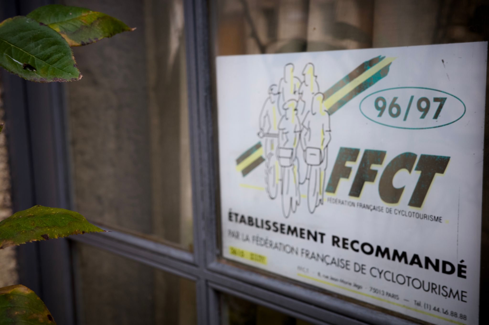 Preview image for Mistletoe, Lavender