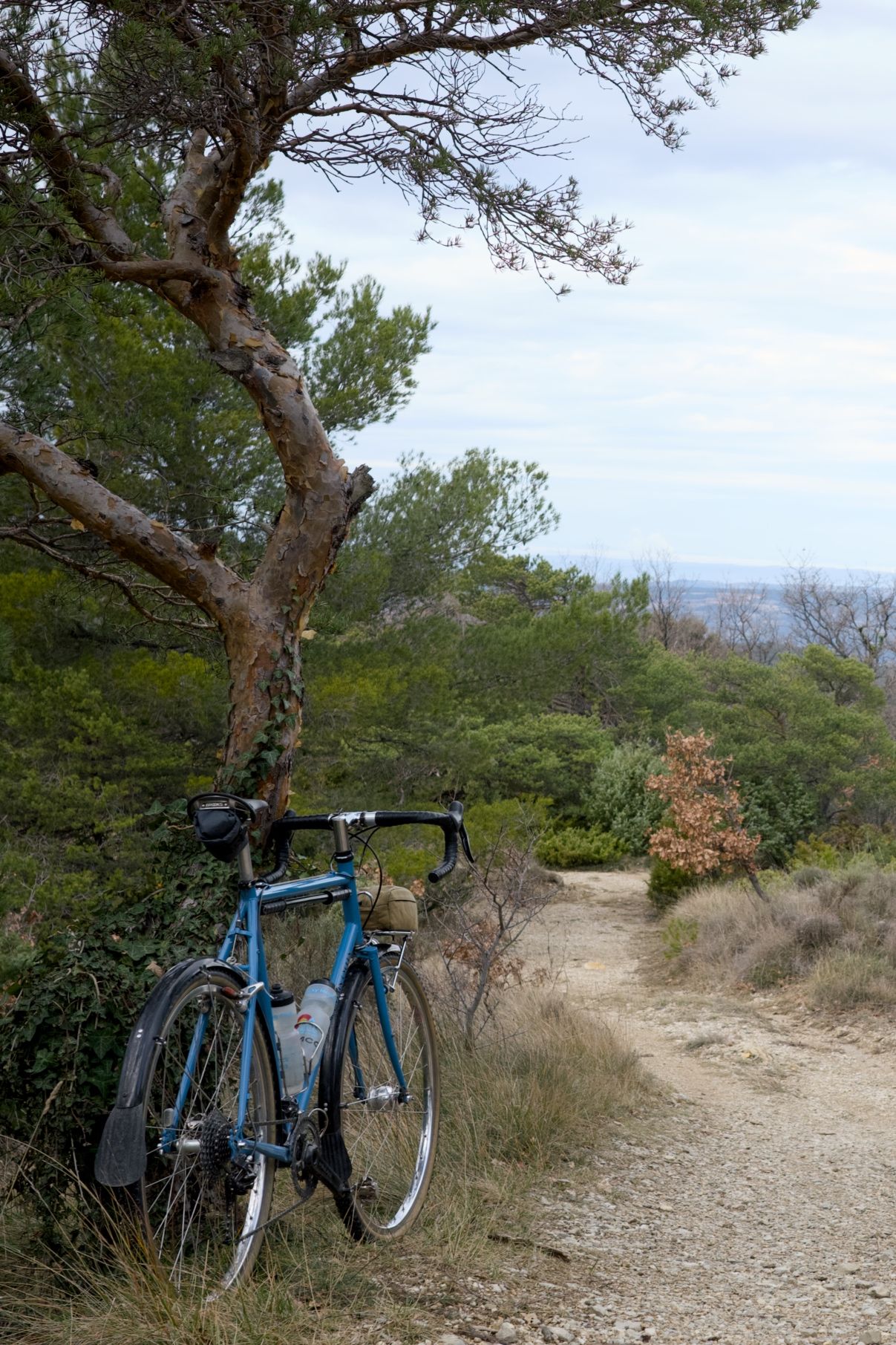 Preview image for la Font du Pommier