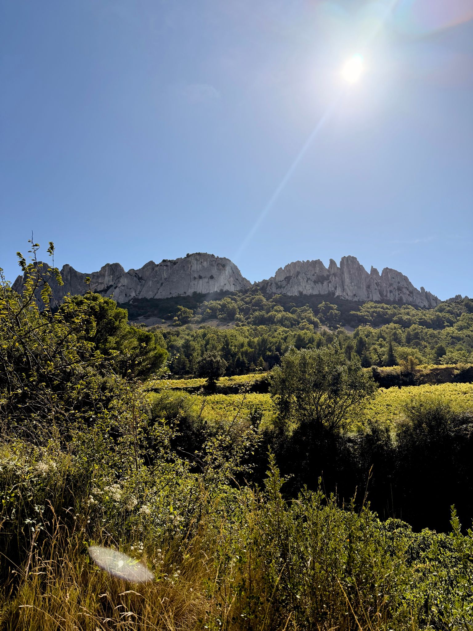 Full size image for Dentelles, Gigondas, gravel.