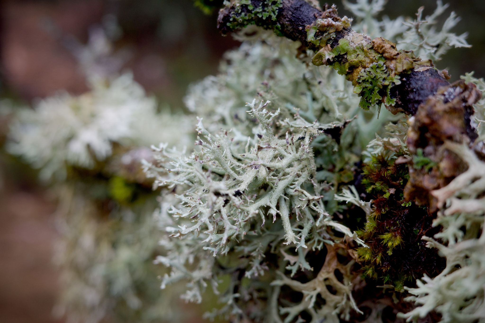 Preview image for Montbrun-les-Bains