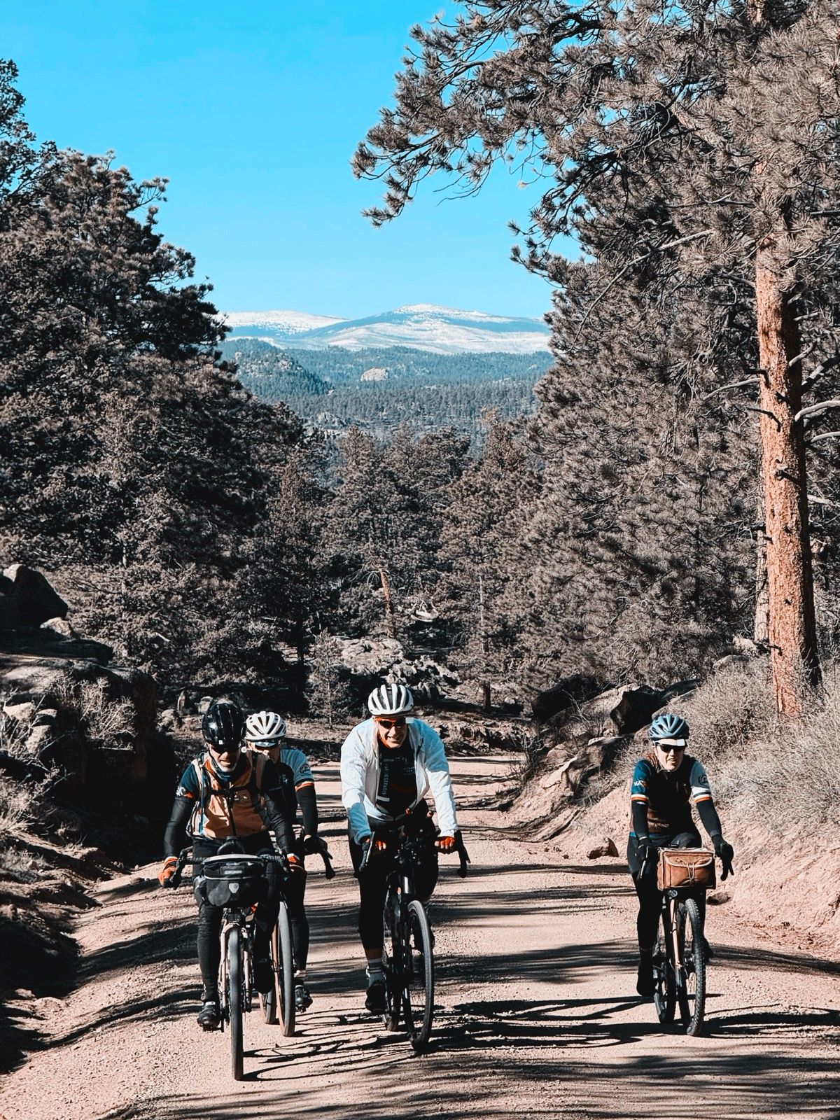 Full size image for The Flèche Velocio.