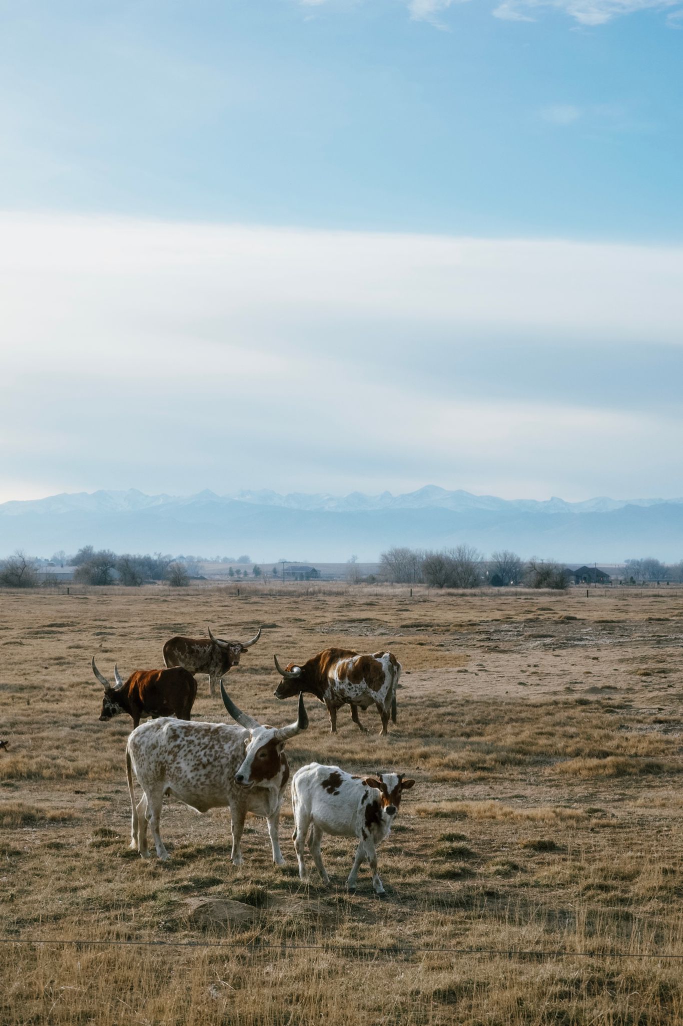 Preview image for New bag 200k shake down.