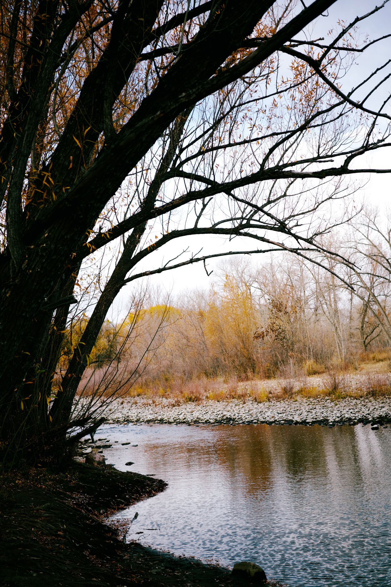 Preview image for Coffeeneuring 2025 6/7: Me Oh My Pie.