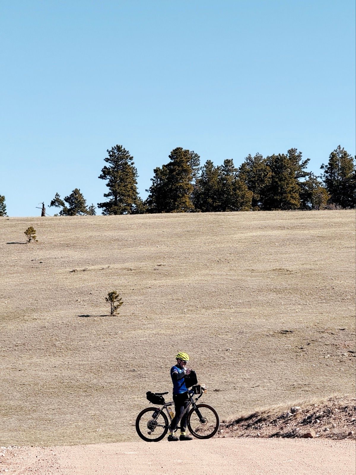 Full size image for The Flèche Velocio.