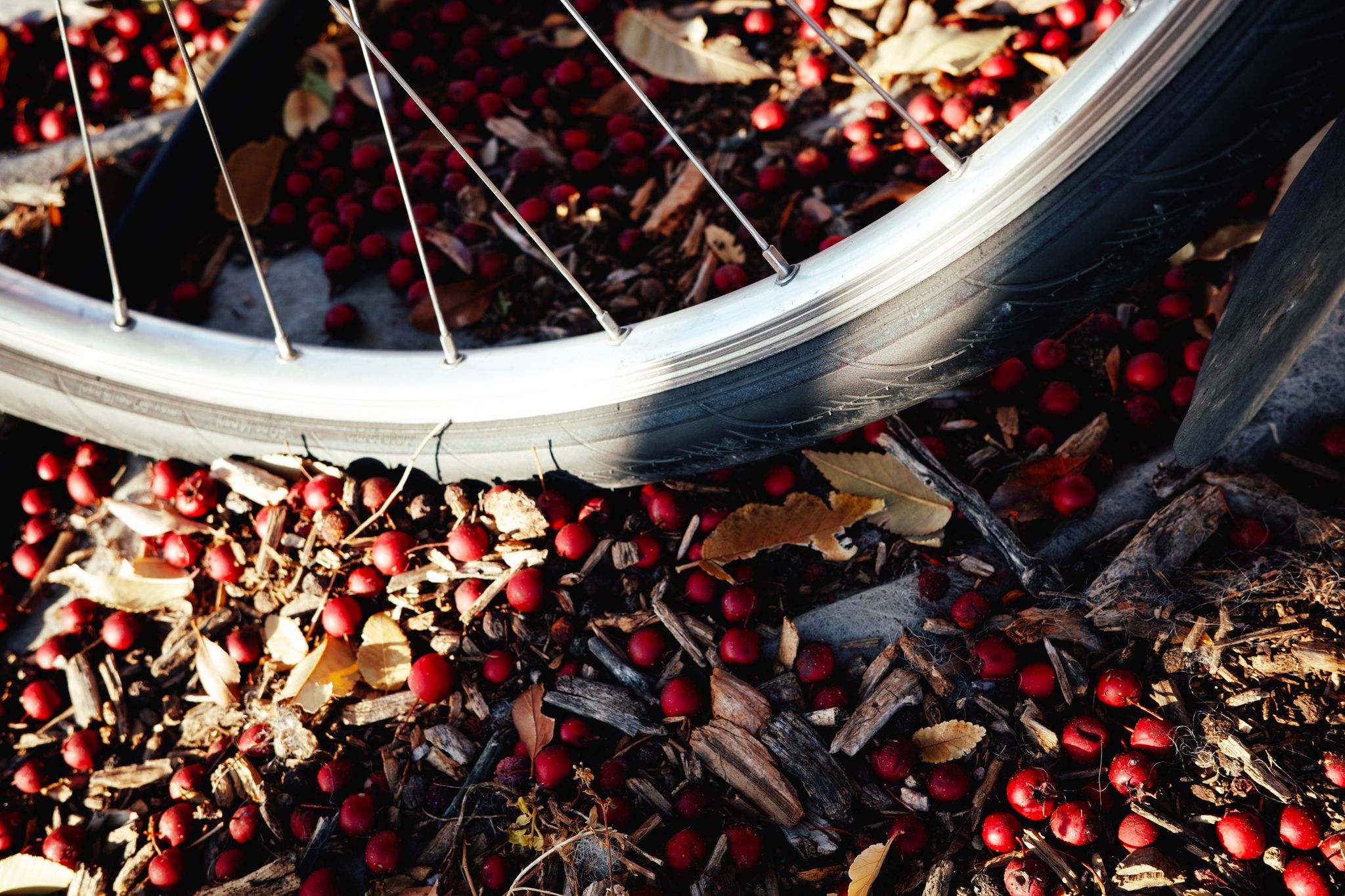 Full size image for Coffeeneuring 2025 6/7: Me Oh My Pie.