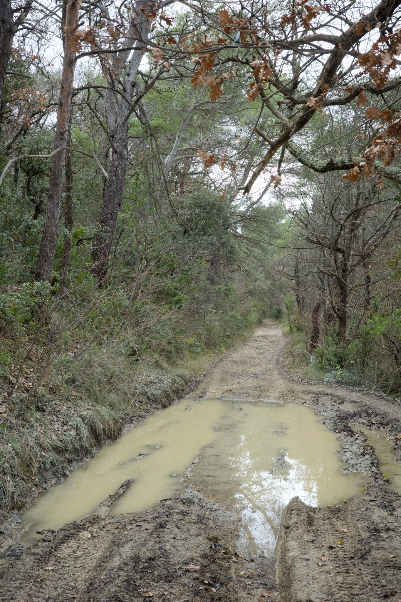 Preview image for la Font du Pommier