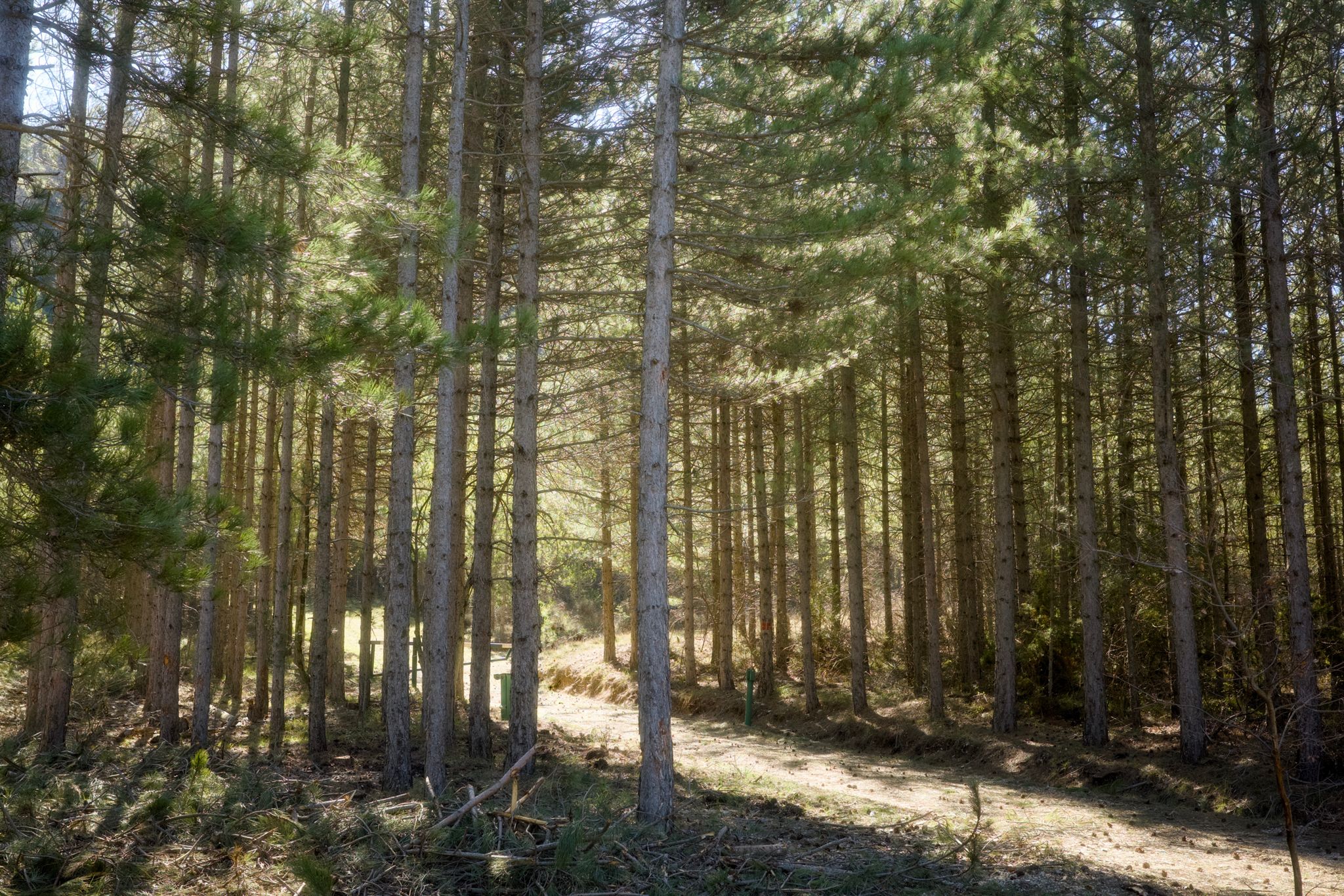 Full size image for Race the wind north