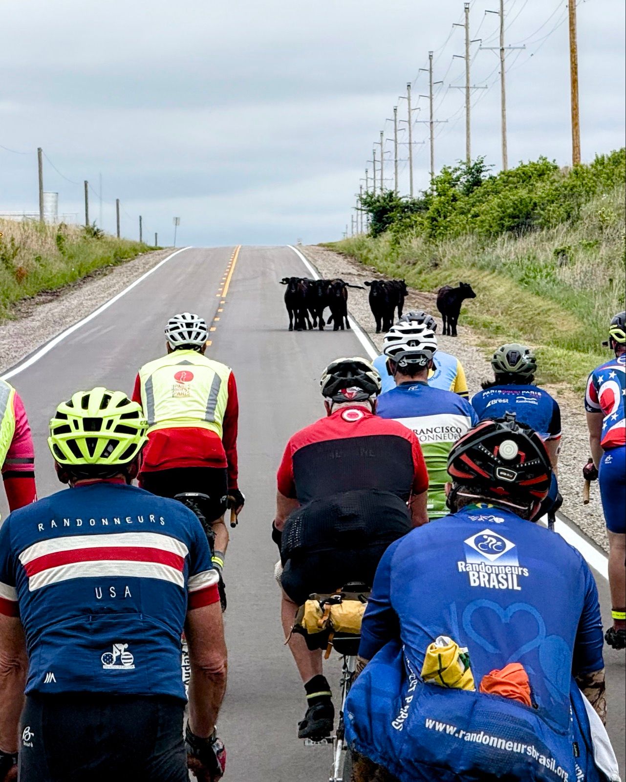 Full size image for KC Audax UAF 600k