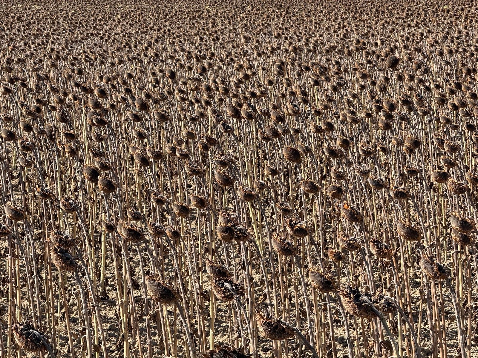 Full size image for To Ardeche