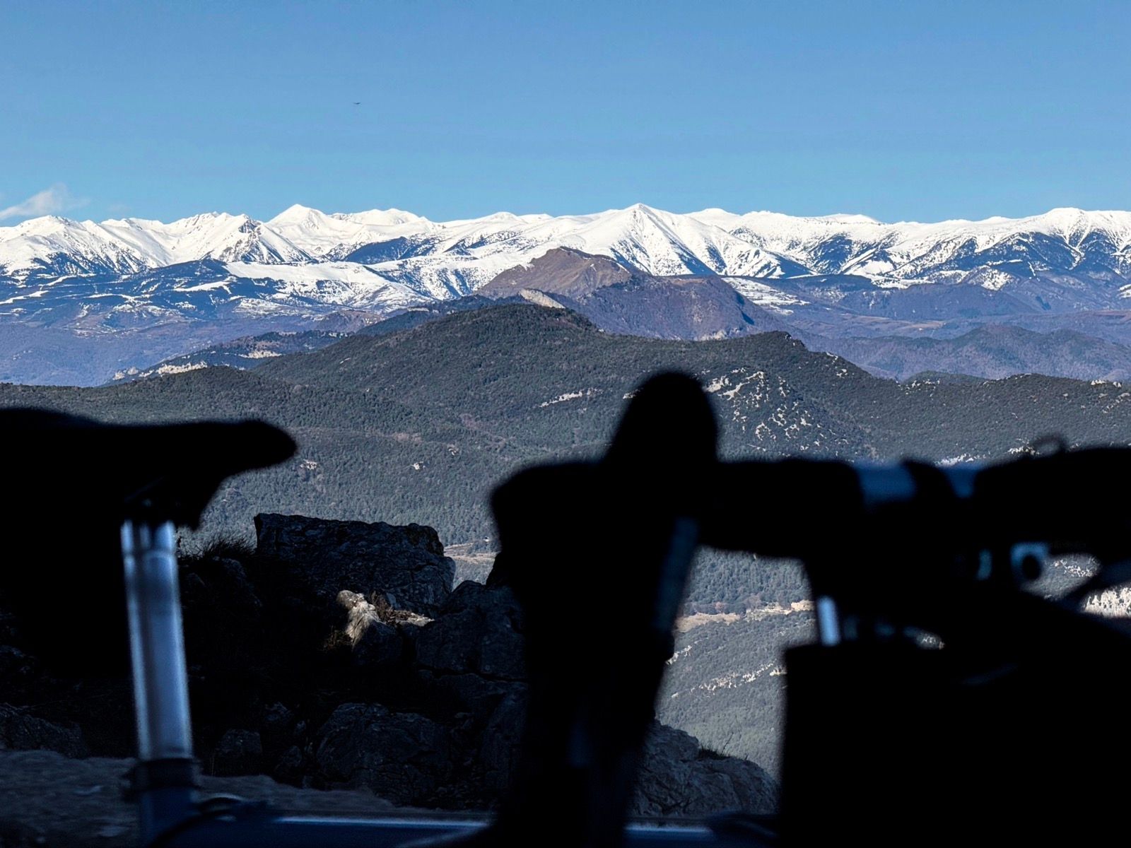 Full size image for El Mont.