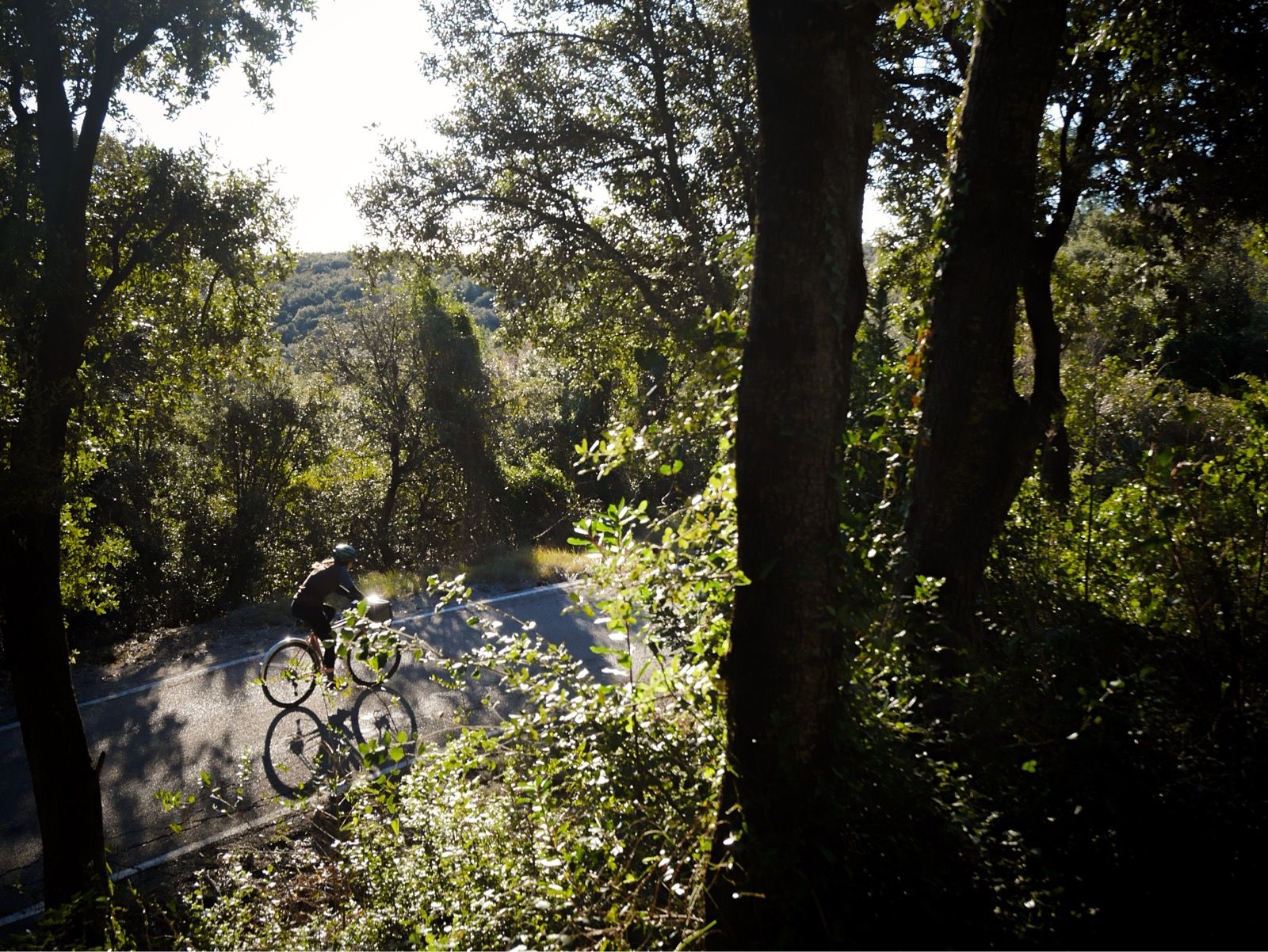 Preview image for El Mont.