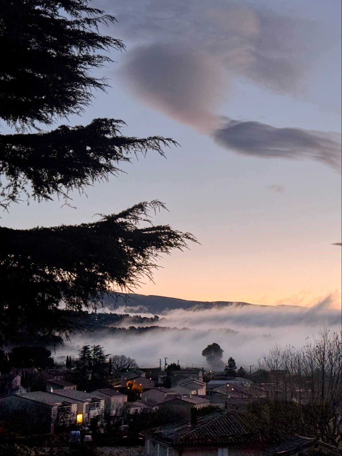 Full size image for Fire Danger: Low. Very low.