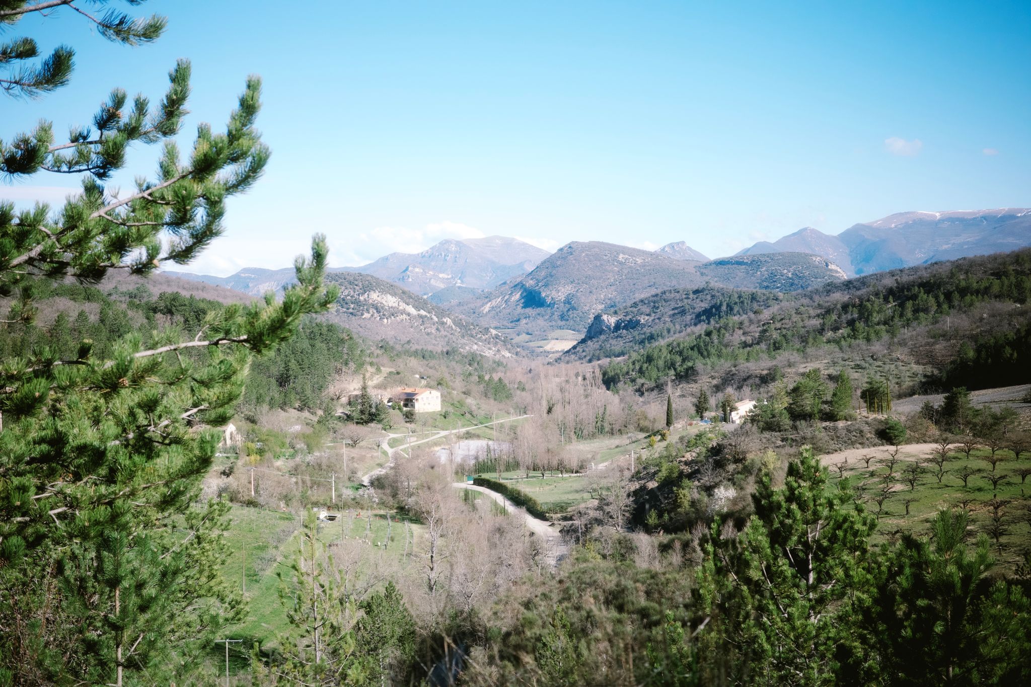 Preview image for Race the wind north