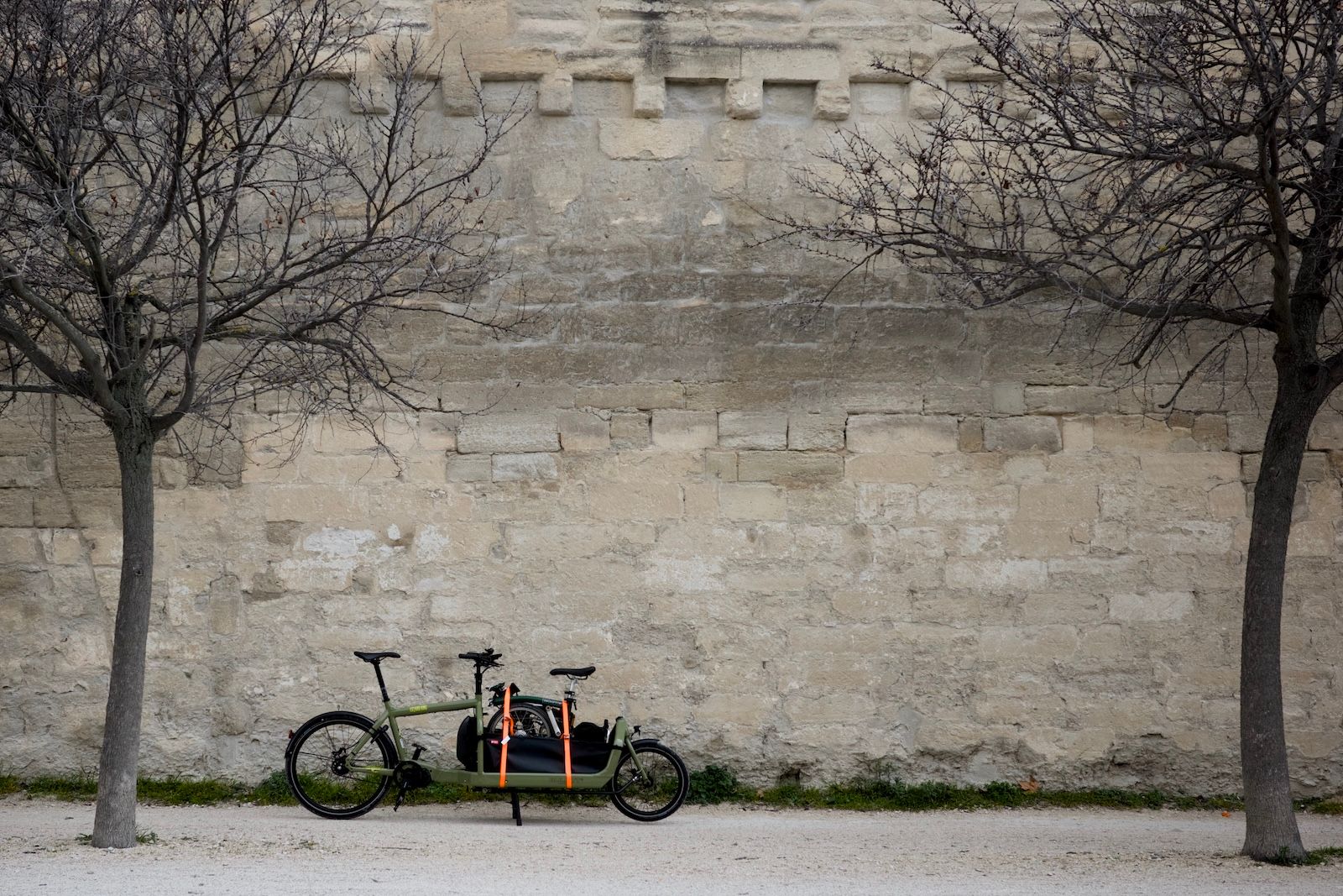 Full size image for New Bike Day