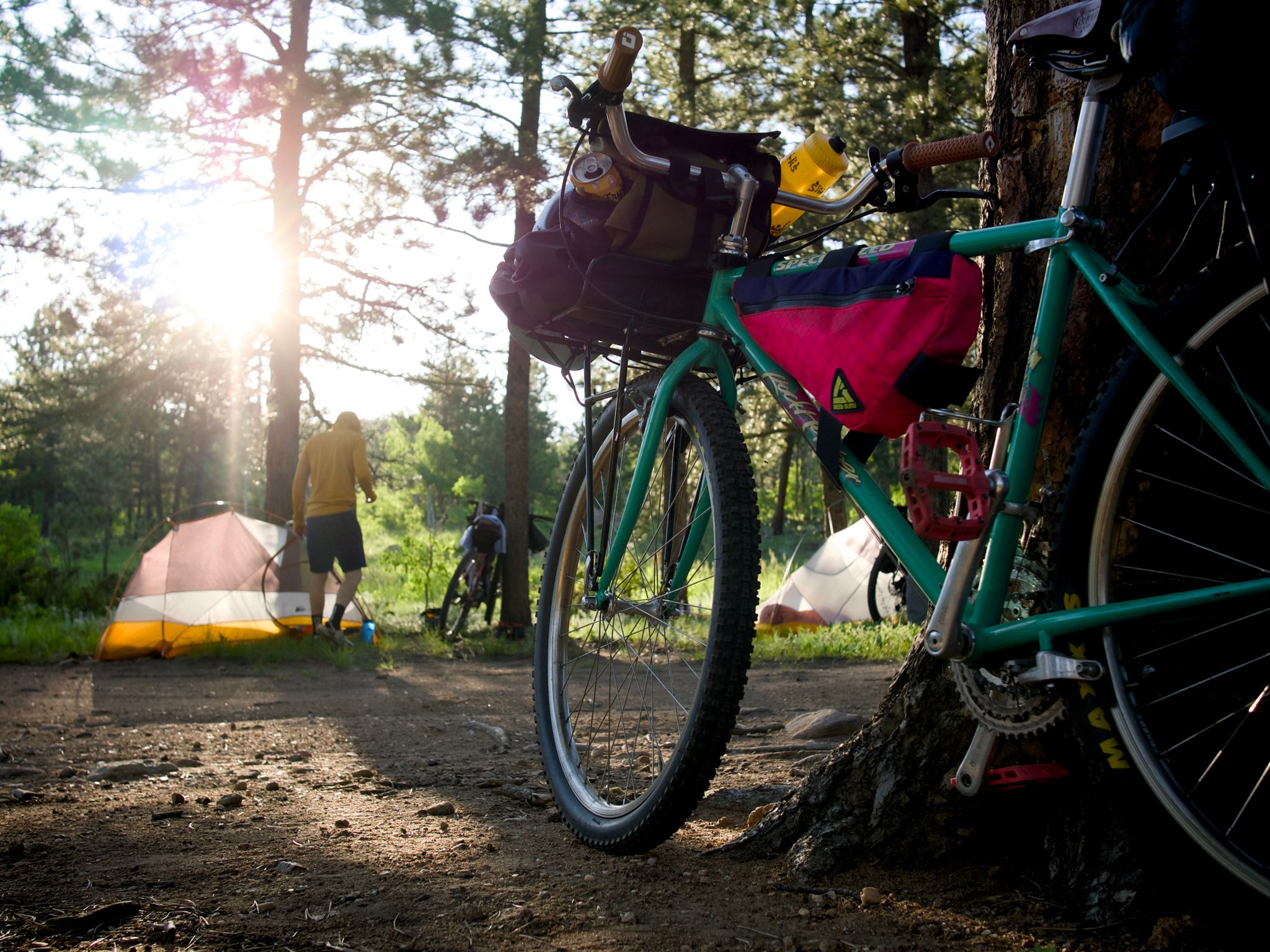 Full size image for Swift Campout 2025