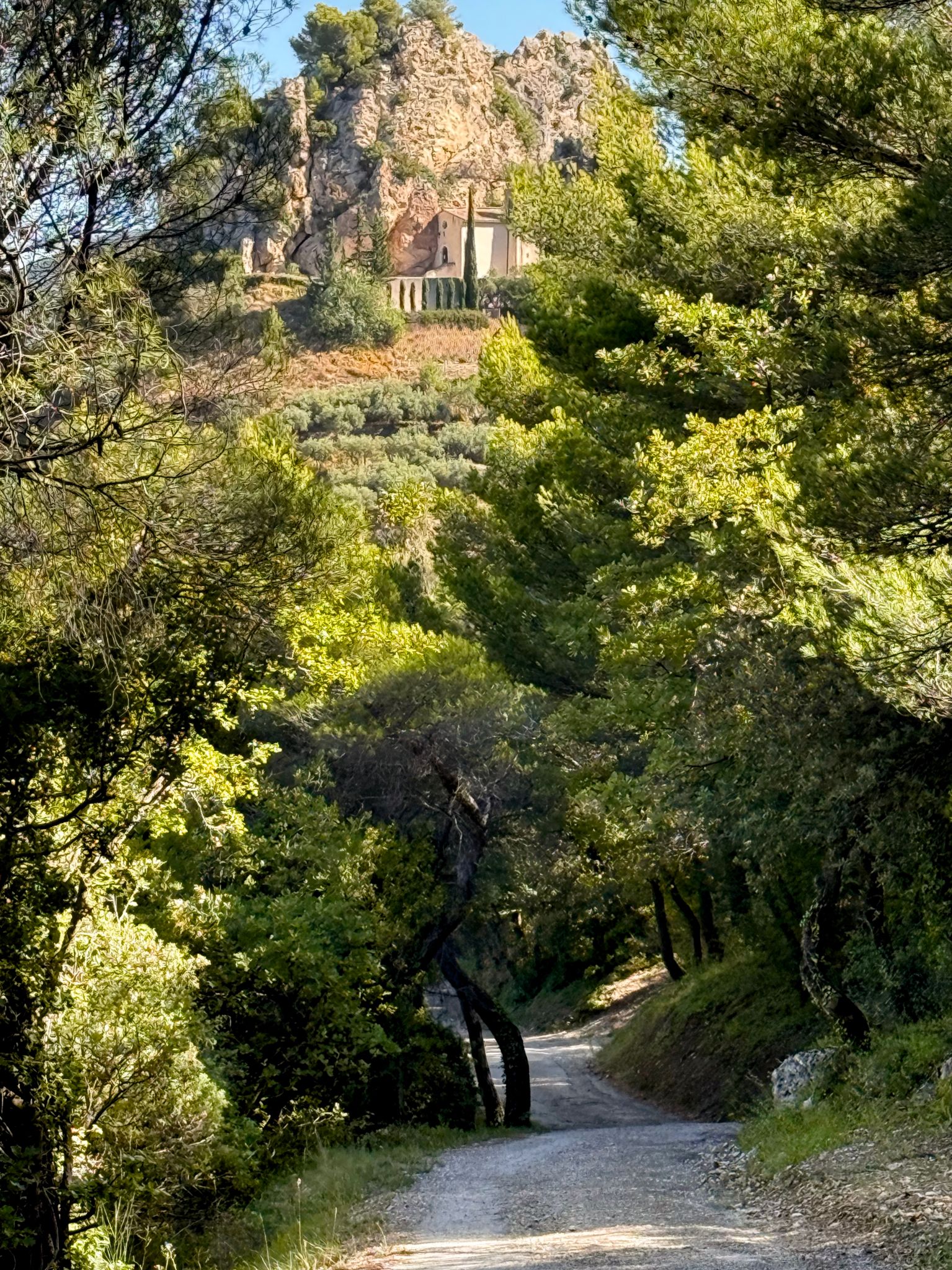 Full size image for A walk with my bike