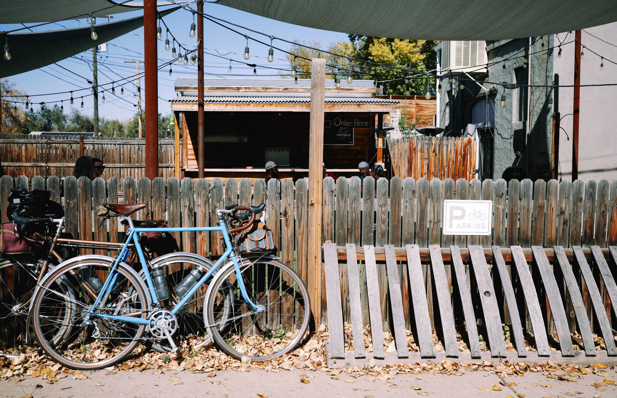 Full size image for Apple Cider Sally 100k Audax