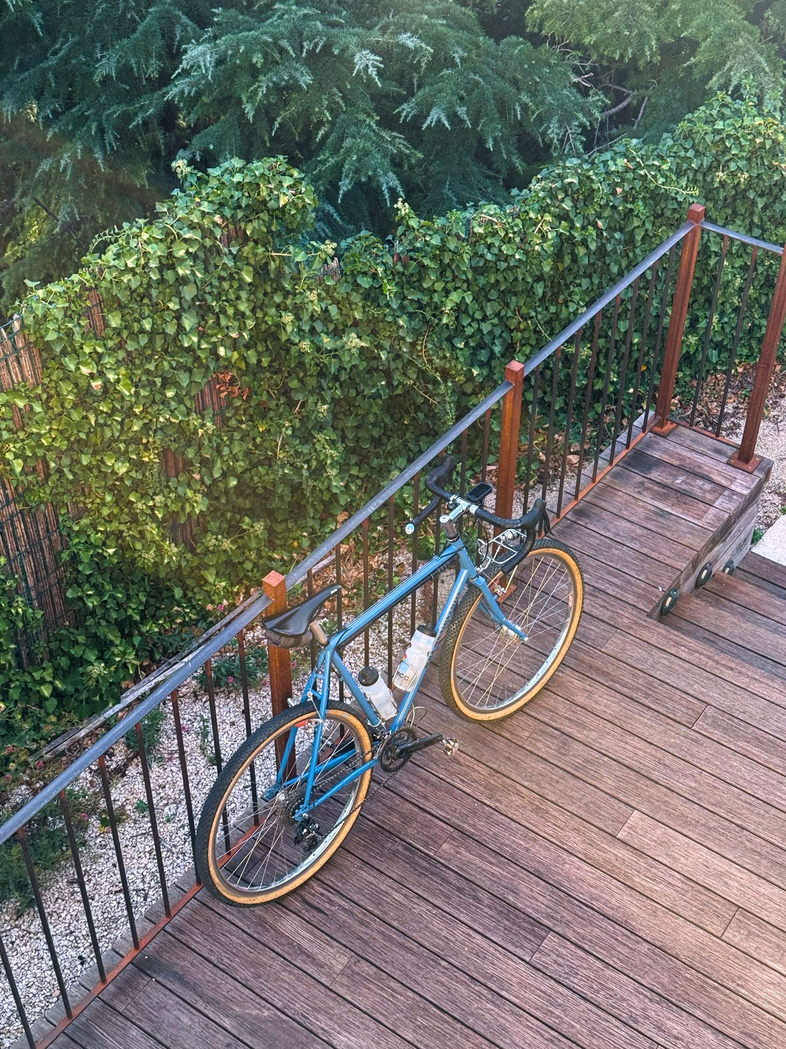 Full size image for A walk with my bike