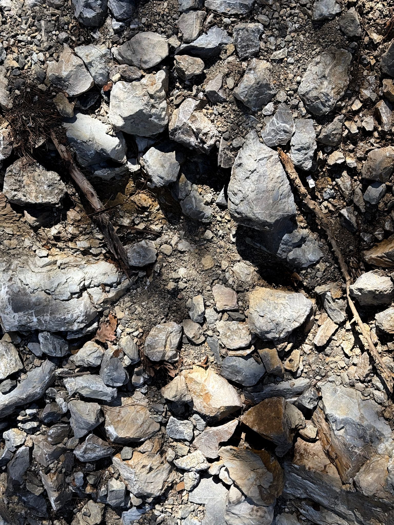 Full size image for Dentelles, Gigondas, gravel.