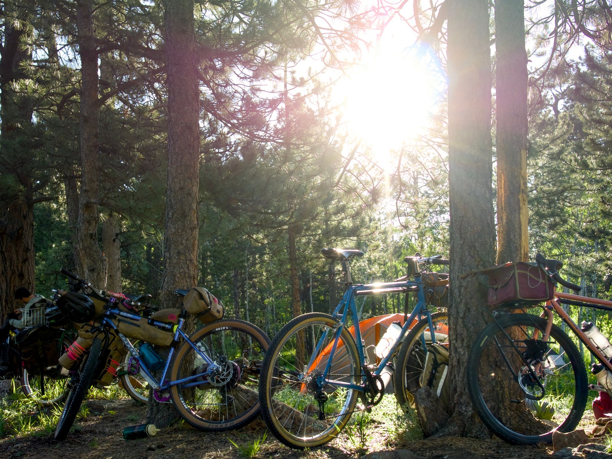 Full size image for Swift Campout 2025