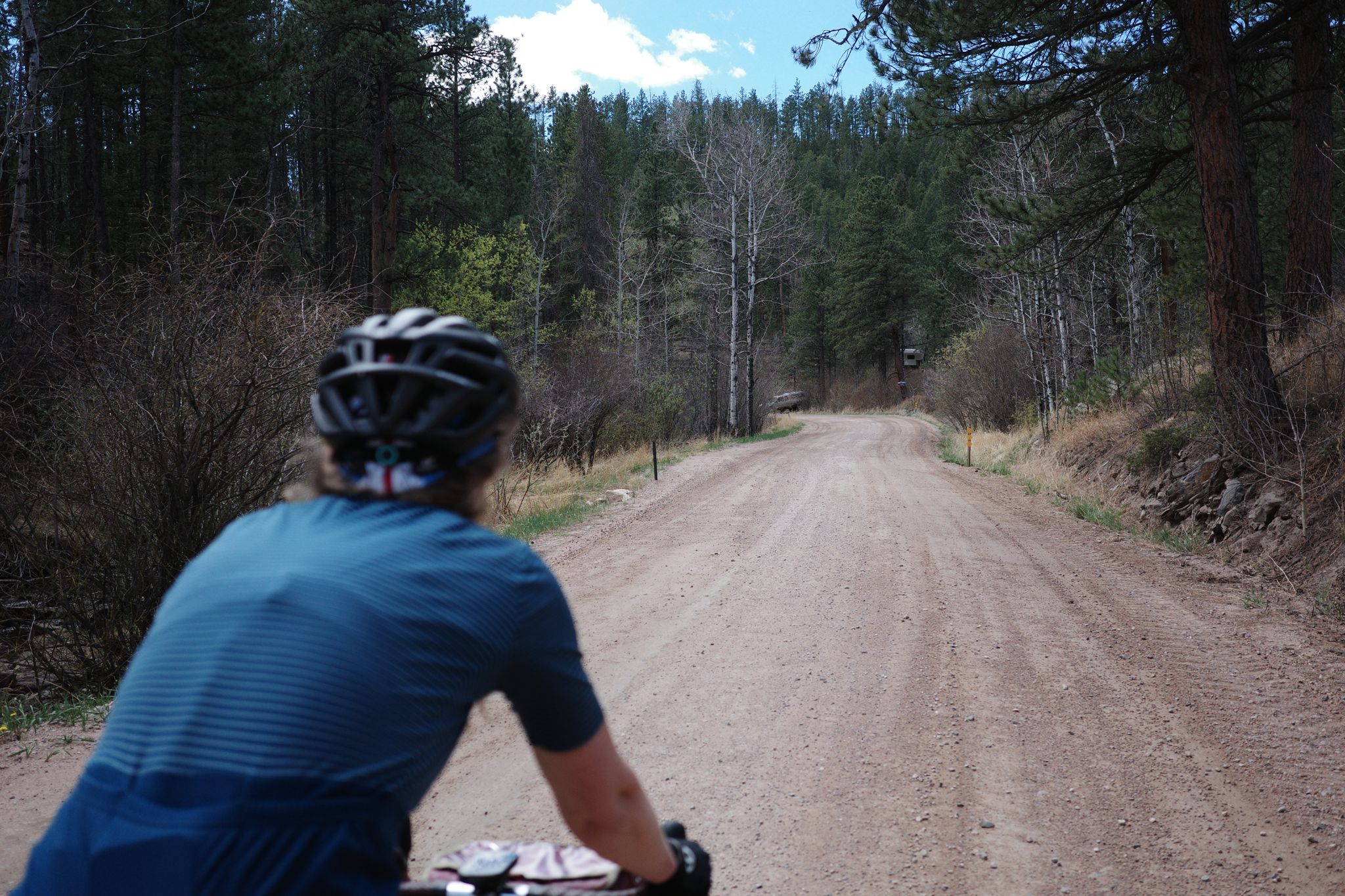Preview image for Rist - Pennock - Poudre