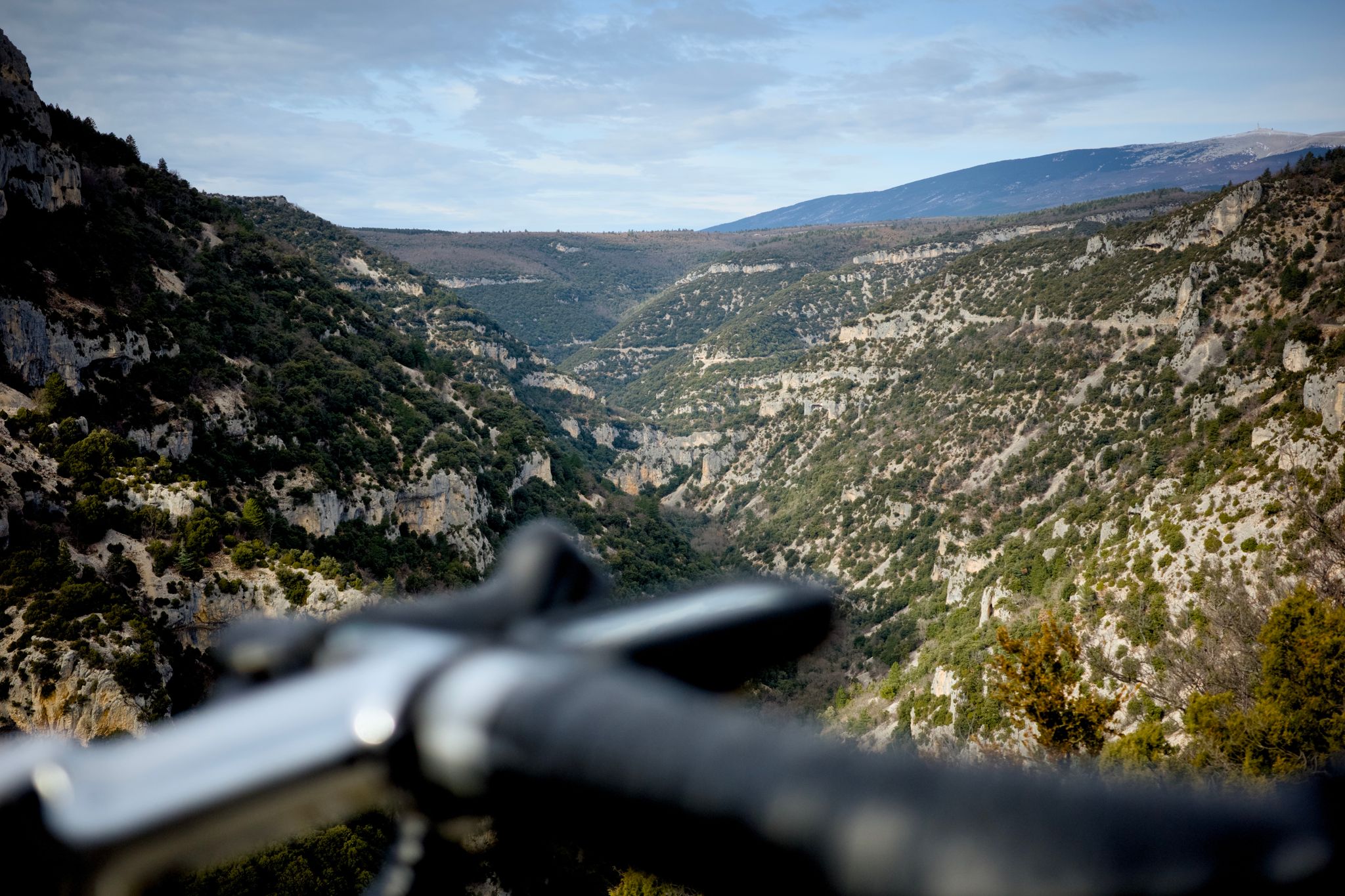 Preview image for Mistletoe, Lavender